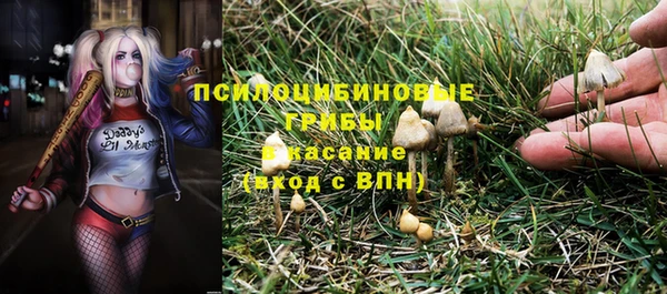 MDMA Premium VHQ Тайга