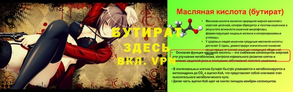 гашик Сясьстрой