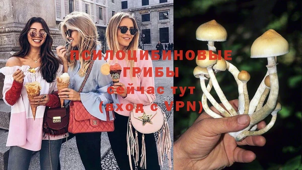 гашик Сясьстрой