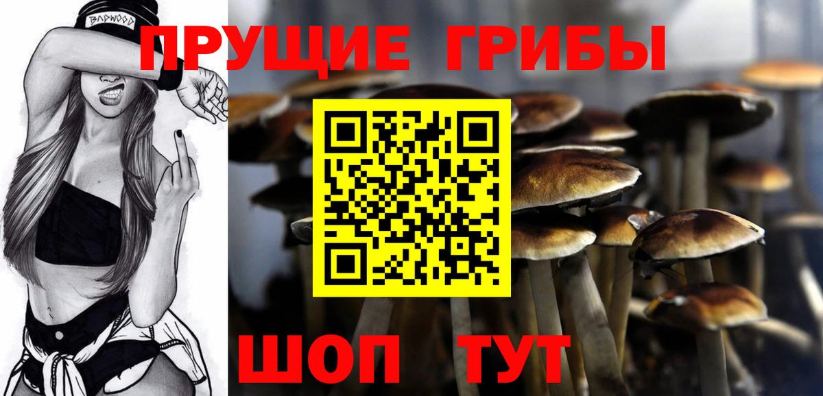 Псилоцибиновые грибы GOLDEN TEACHER Березники