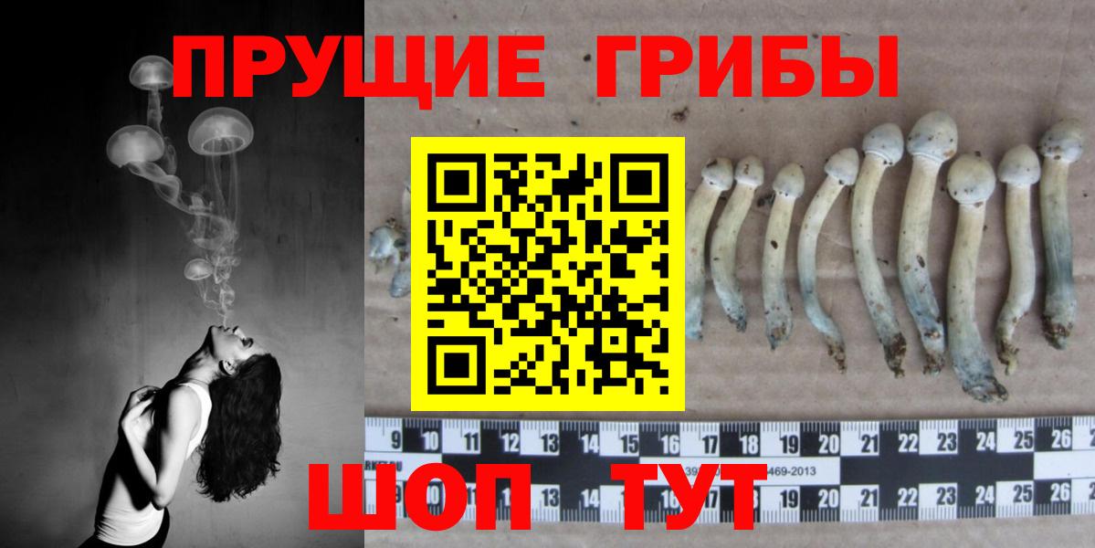 Псилоцибиновые грибы Psilocybine cubensis  цены наркотик  Березники 